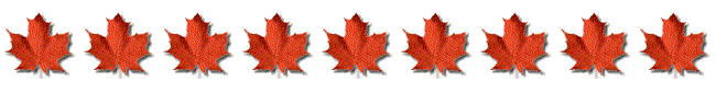Maple banner